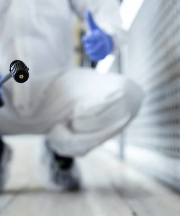 Jasa Anti Rayap: Solusi Efektif Melindungi Properti dari Kerusakan