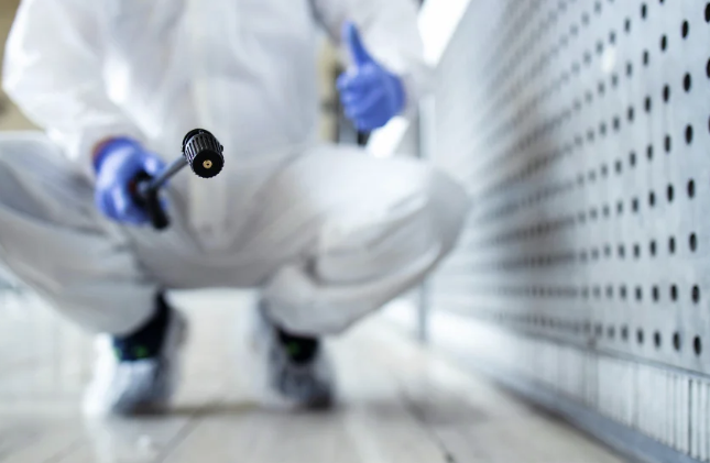 Jasa Anti Rayap: Solusi Efektif Melindungi Properti dari Kerusakan